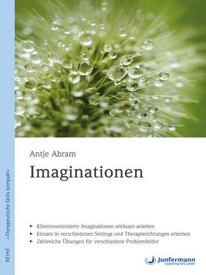 cover image of Imaginationen